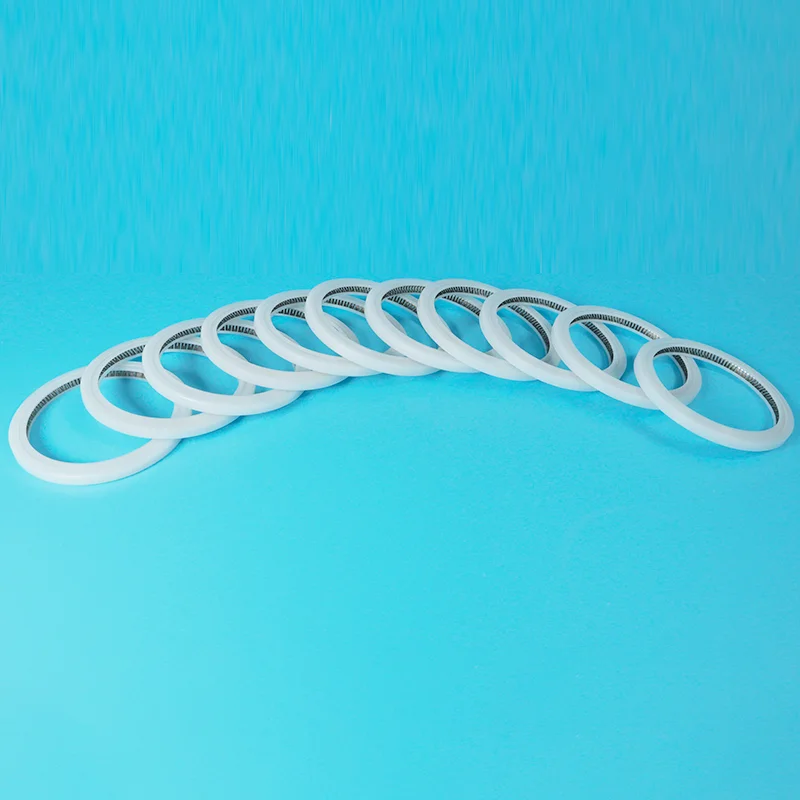 Nola ematen du V-Type Spring Energized Seal batek zigilatzeko errendimendu fidagarria?